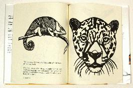 Why is a Tiger a Tiger? A Bestiary of Etymology - 3